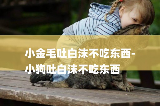 小金毛吐白沫不吃東西-
小狗吐白沫不吃東西