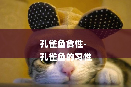 孔雀魚食性-
孔雀魚的習性