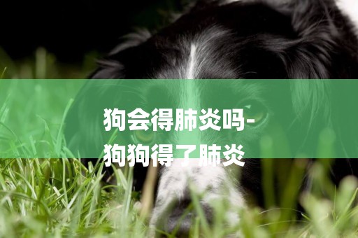 狗會得肺炎嗎-
狗狗得了肺炎