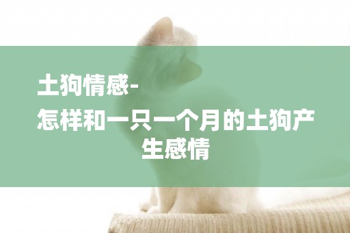 土狗情感-
怎樣和一只一個月的土狗產生感情