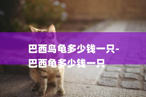 巴西鳥龜多少錢一只-
巴西龜多少錢一只