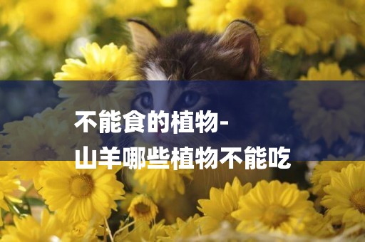 不能食的植物-
山羊哪些植物不能吃