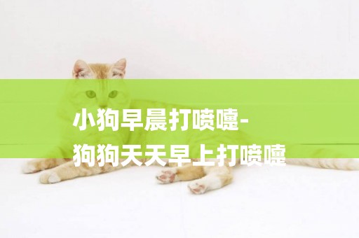 小狗早晨打噴嚏-
狗狗天天早上打噴嚏