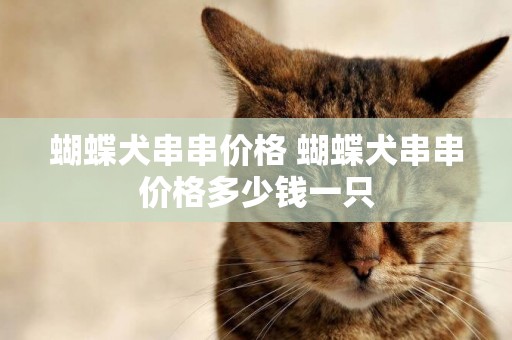 蝴蝶犬串串價格 蝴蝶犬串串價格多少錢一只