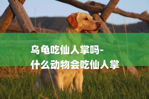 烏龜吃仙人掌嗎-
什么動物會吃仙人掌