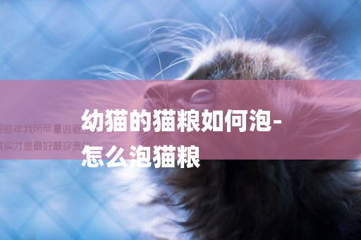 幼貓的貓糧如何泡-
怎么泡貓糧