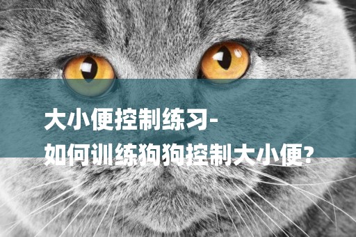 大小便控制練習-
如何訓練狗狗控制大小便?