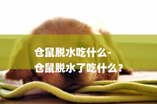 倉鼠脫水吃什么-
倉鼠脫水了吃什么？