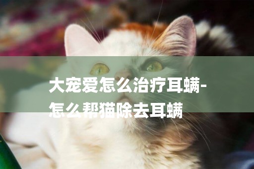 大寵愛怎么治療耳螨-
怎么幫貓除去耳螨