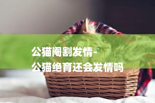 公貓閹割發情-
公貓絕育還會發情嗎