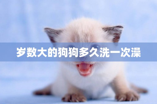 歲數大的狗狗多久洗一次澡