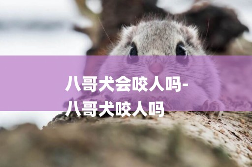 八哥犬會咬人嗎-
八哥犬咬人嗎