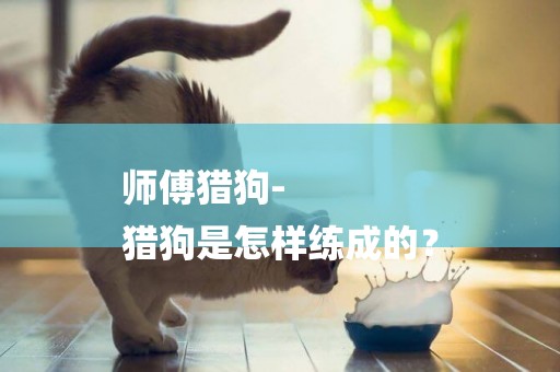 師傅獵狗-
獵狗是怎樣練成的？