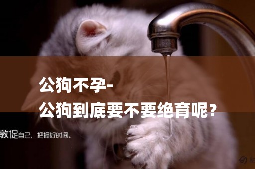 公狗不孕-
公狗到底要不要絕育呢？