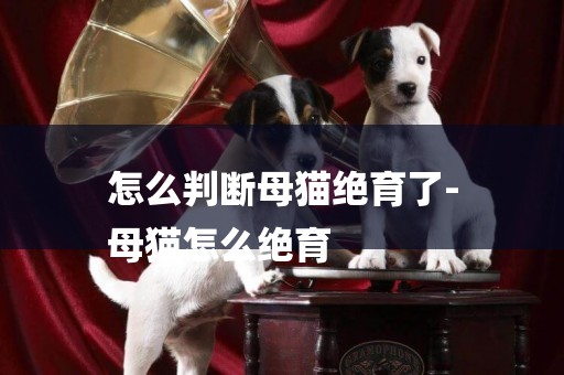 怎么判斷母貓絕育了-
母貓怎么絕育