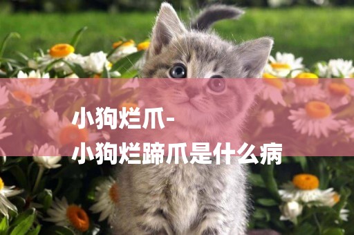 小狗爛爪-
小狗爛蹄爪是什么病