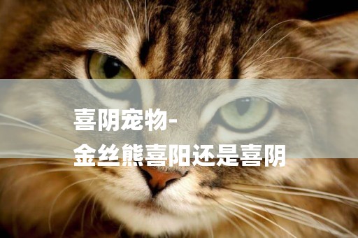 喜陰寵物-
金絲熊喜陽還是喜陰