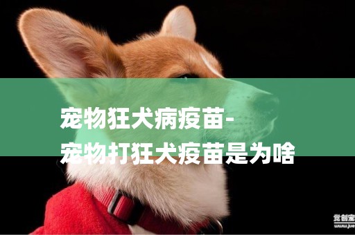 寵物狂犬病疫苗-
寵物打狂犬疫苗是為啥