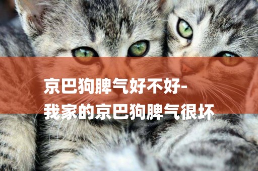 京巴狗脾氣好不好-
我家的京巴狗脾氣很壞