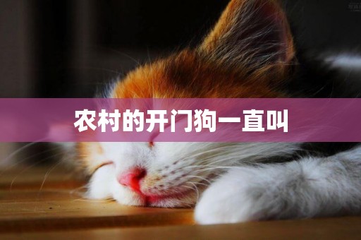 農村的開門狗一直叫