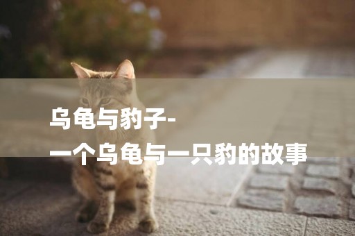 烏龜與豹子-
一個烏龜與一只豹的故事