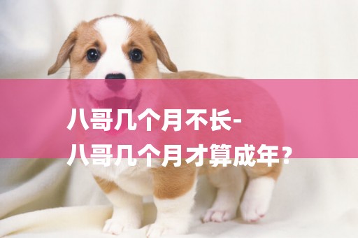 八哥幾個月不長-
八哥幾個月才算成年？