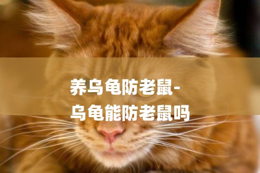 養烏龜防老鼠-
烏龜能防老鼠嗎