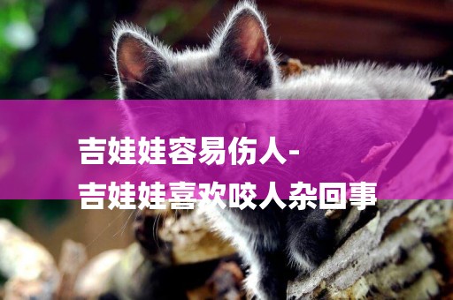吉娃娃容易傷人-
吉娃娃喜歡咬人雜回事