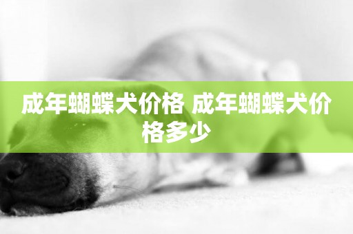成年蝴蝶犬價格 成年蝴蝶犬價格多少