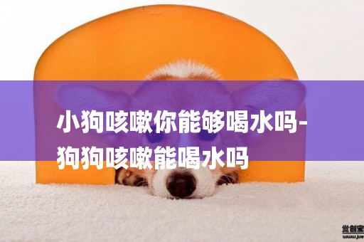 小狗咳嗽你能夠喝水嗎-
狗狗咳嗽能喝水嗎