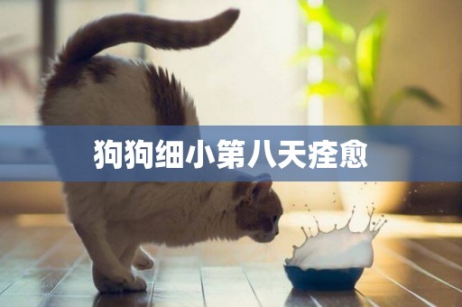 狗狗細小第八天痊愈