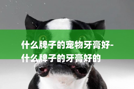什么牌子的寵物牙膏好-
什么牌子的牙膏好的