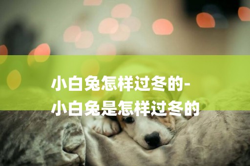 小白兔怎樣過冬的-
小白兔是怎樣過冬的