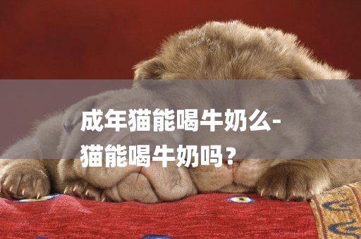 成年貓能喝牛奶么-
貓能喝牛奶嗎？