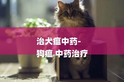 治犬瘟中藥-
狗瘟 中藥治療