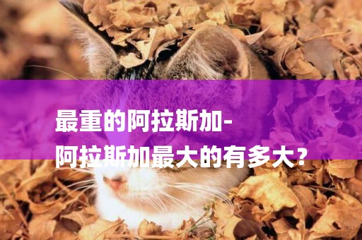 最重的阿拉斯加-
阿拉斯加最大的有多大？