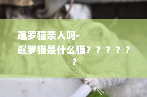 暹羅貓親人嗎-
暹羅貓是什么貓？？？？？？
