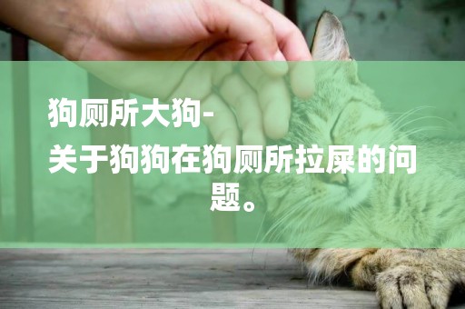 狗廁所大狗-
關于狗狗在狗廁所拉屎的問題。