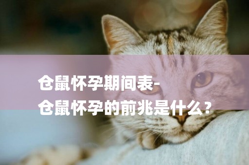 倉鼠懷孕期間表-
倉鼠懷孕的前兆是什么？