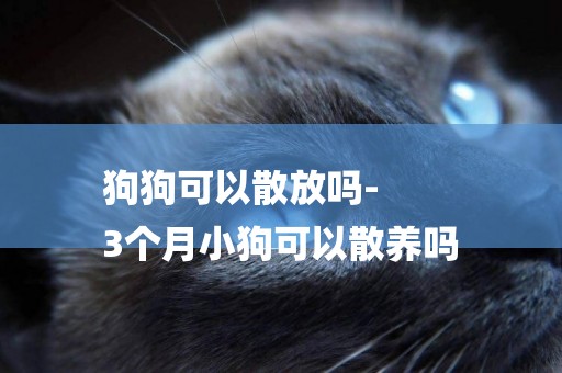 狗狗可以散放嗎-
3個月小狗可以散養嗎