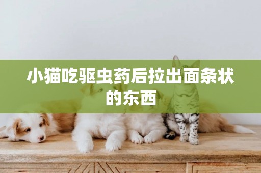 小貓吃驅蟲藥后拉出面條狀的東西