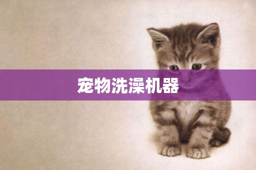寵物洗澡機器