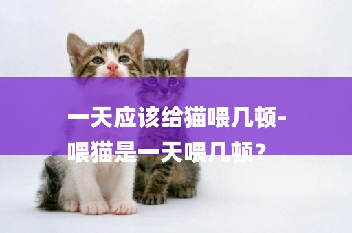 一天應該給貓喂幾頓-
喂貓是一天喂幾頓？