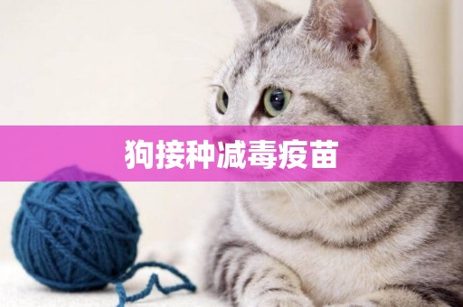 狗接種減毒疫苗