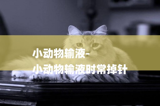 小動物輸液-
小動物輸液時常掉針