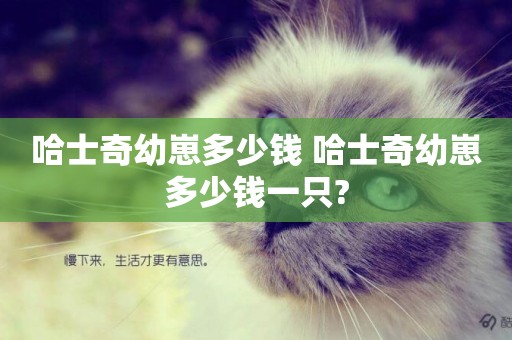 哈士奇幼崽多少錢 哈士奇幼崽多少錢一只?