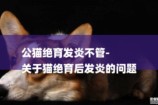 公貓絕育發炎不管-
關于貓絕育后發炎的問題