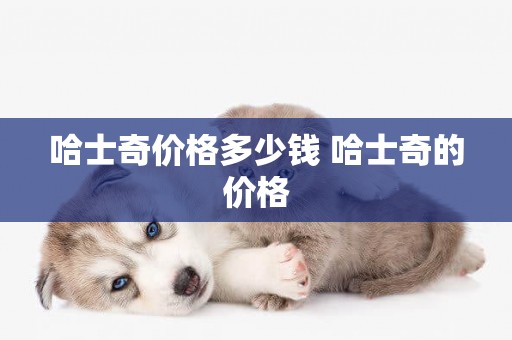 哈士奇價格多少錢 哈士奇的價格
