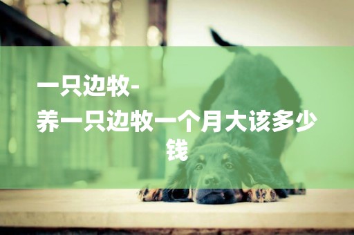 一只邊牧-
養一只邊牧一個月大該多少錢