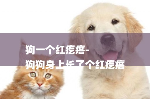 狗一個紅疙瘩-
狗狗身上長了個紅疙瘩